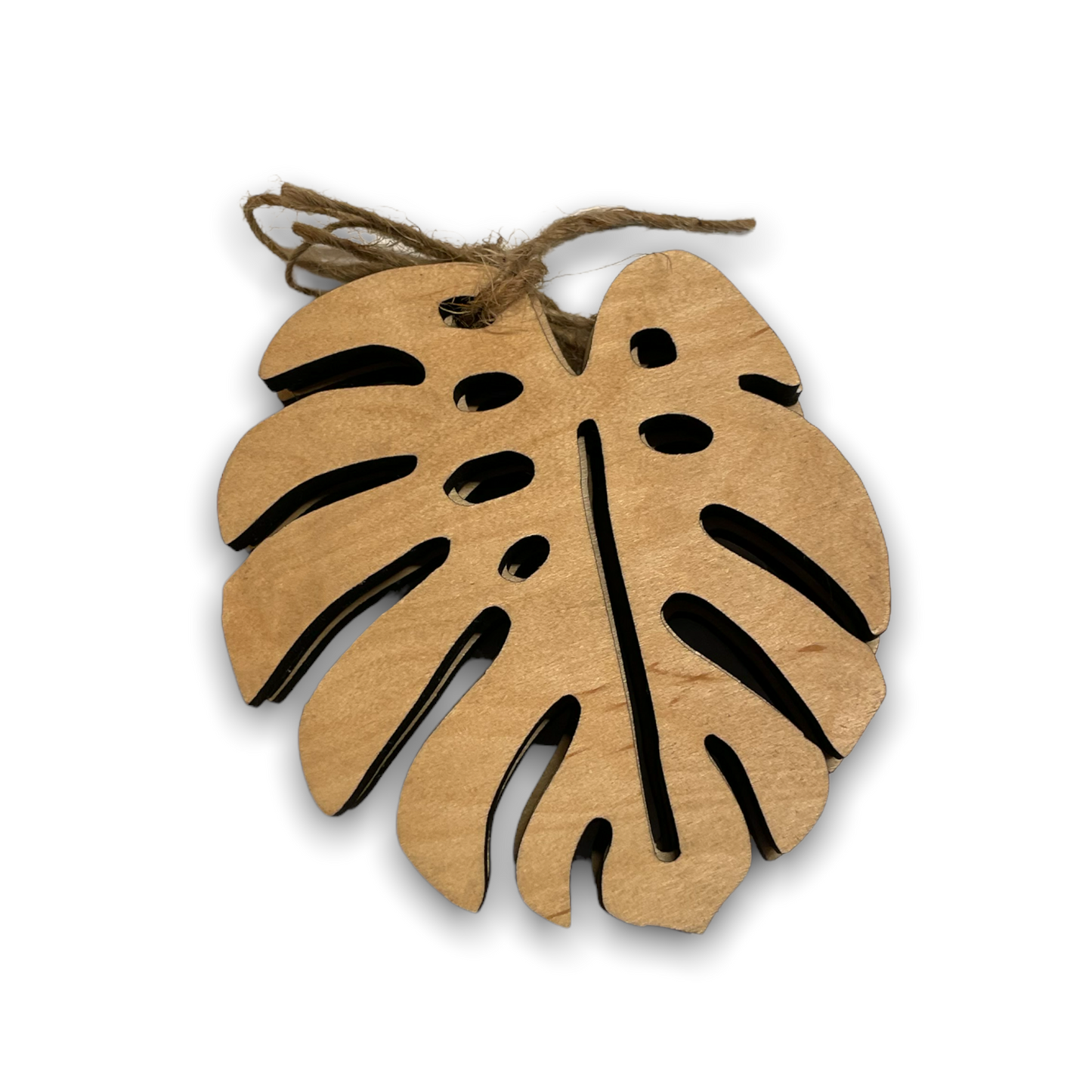 Plant Coasters
