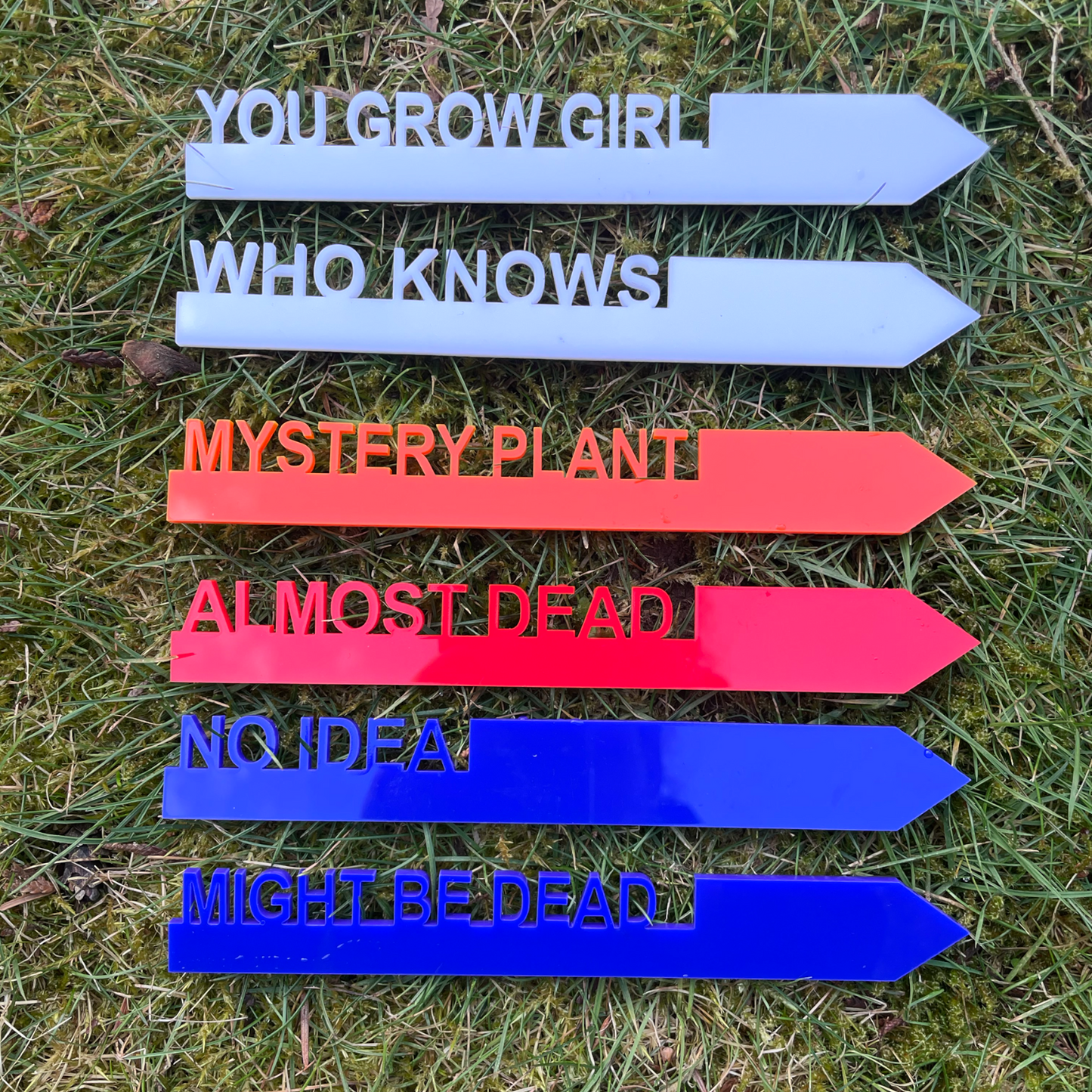 Garden Stakes- Funny