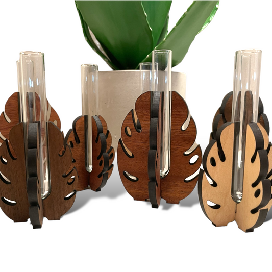 Monstera Leaf Propagation Stand